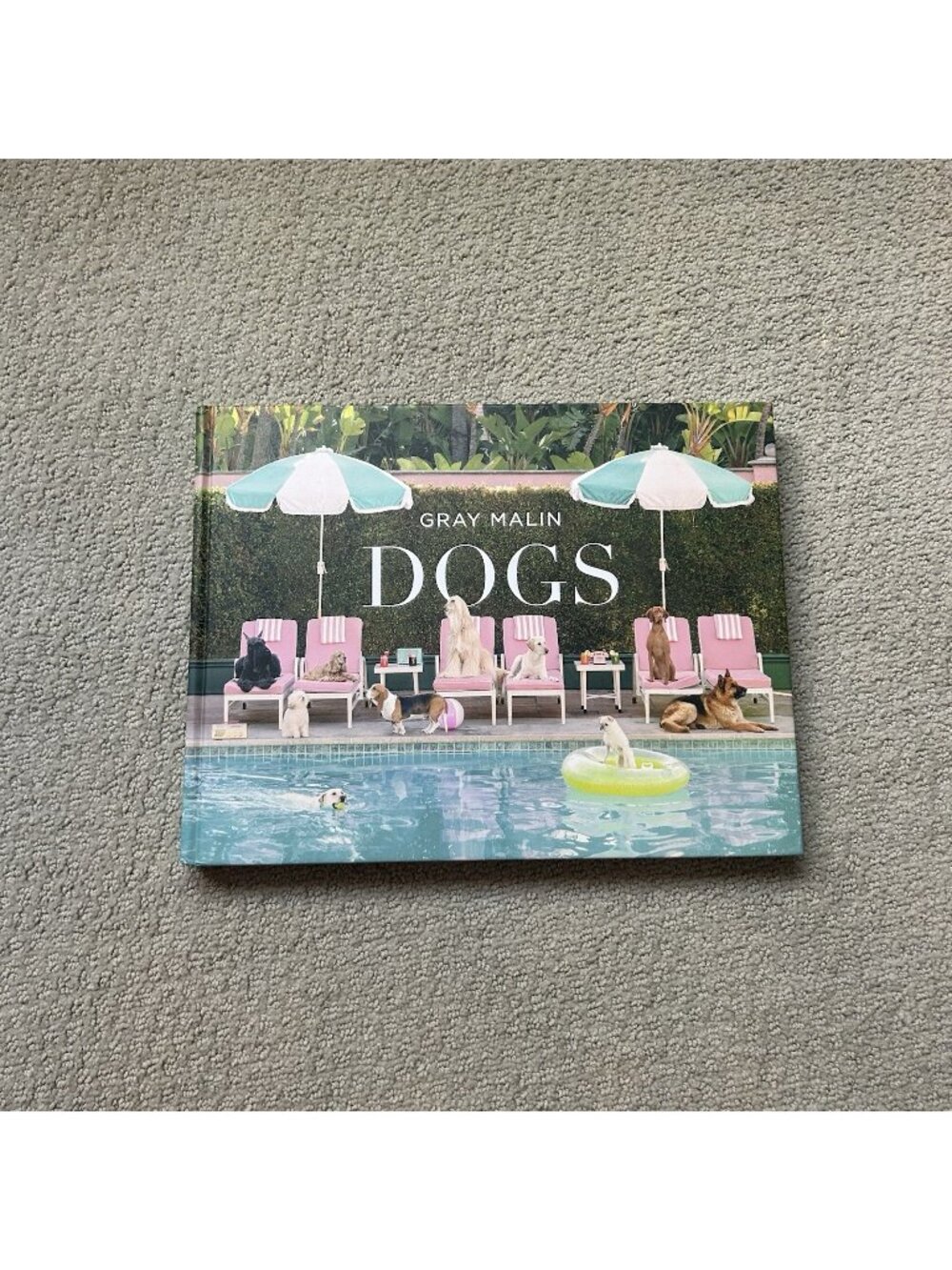 NEW Gray Malin Dogs Book by Gray Malin